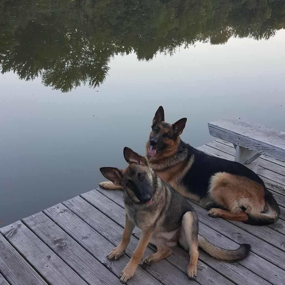 Meet your Posher, Nick